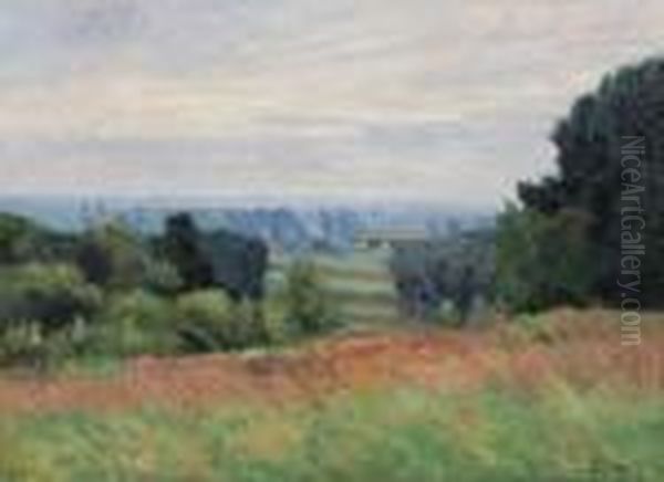 Paysage En Ile-de-france - view 1
