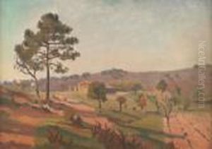 Paysage De Provence