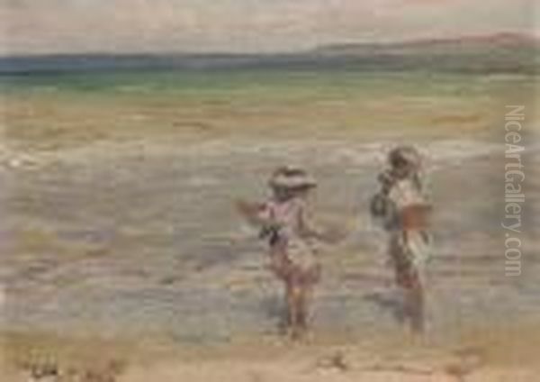 Sea Urchins - view 1