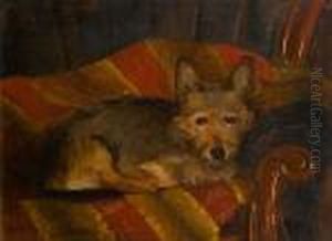 Dog On A Chair Dog On A Chair
