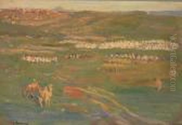 The Sultan's Camp - view 1