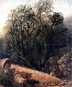 A Cornfield Bordered by Trees