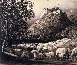 The Flock and the Star
