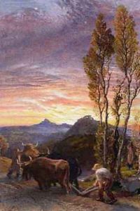 Oxen Ploughing at Sunset