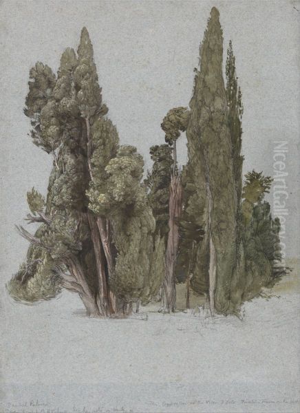 The Cypresses at the Villa d'Este, Tivoli - view 1