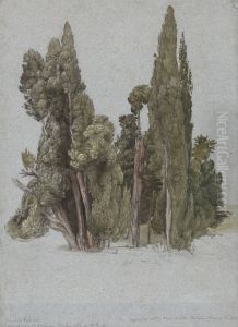 The Cypresses at the Villa d'Este, Tivoli