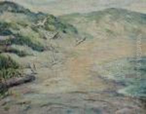 Seascape Seascape
