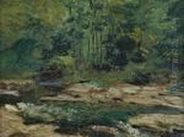 Woodland Brook - view 1