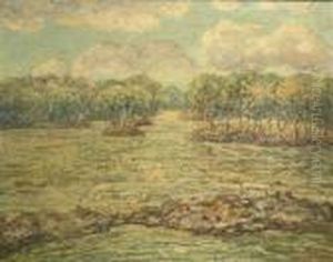 Mangrove Trees, The Florida Everglades by Ernest Lawson