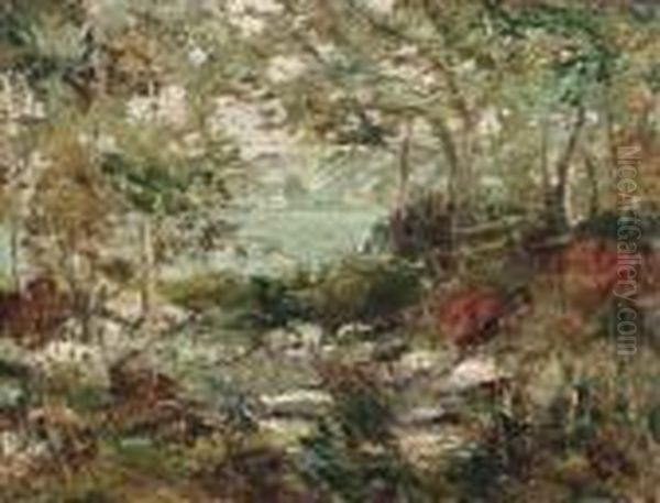 Trees And Rocks - view 1