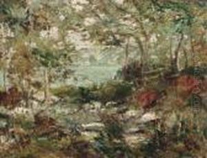 Trees And Rocks by Ernest Lawson