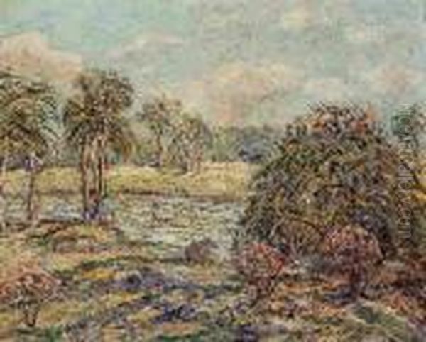 Florida Landscape - view 1