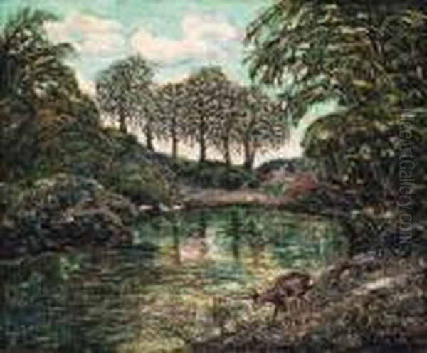 The Everglades - view 1