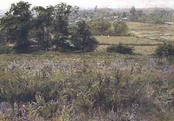 The Furze Field - view 1