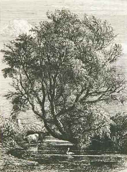 The Willow - view 1