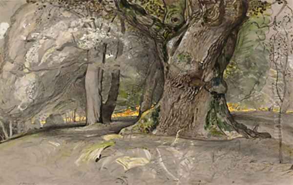 Oak tree and beech, Lullingstone Park - view 1