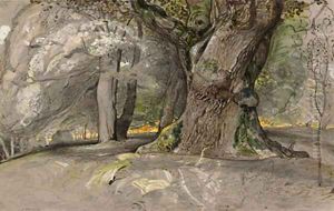 Oak tree and beech, Lullingstone Park by Samuel Palmer