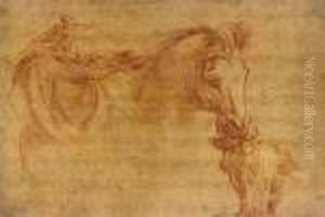 Studies Of Horses Heads by Charles Lebrun