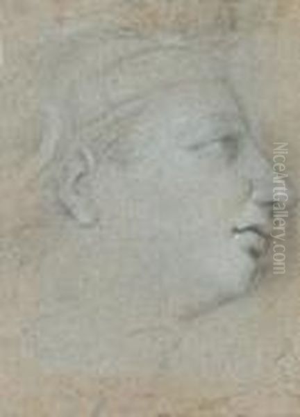 A Study Of A Young Woman In Profile - view 1