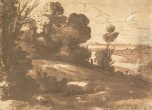 Paysage De Campagne