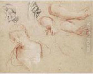 Sheet Of Studies Of Hands, Arms And A Young Woman, Head And Shoulders