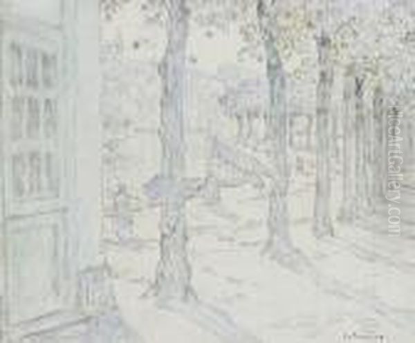 Les Arbes De La Rive - view 1