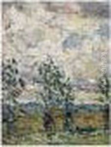 Paysage Des Environs Du Croisic