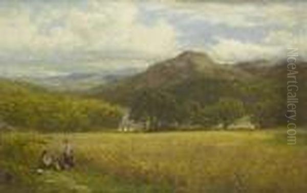 A Welsh Barley Field Near Capel Curig - view 1
