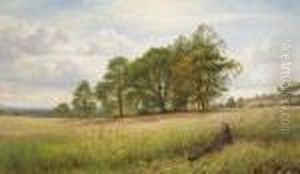 Summertime: Through The Hayfield, Worcestershire