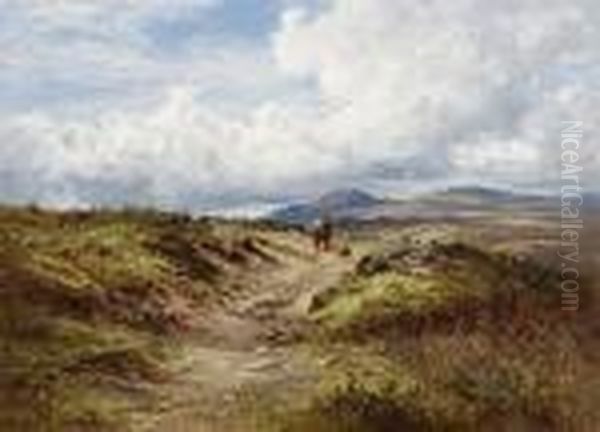 A View Of Dartmoor - view 1