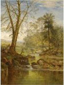 A Sunny Stream - Beardon, Dartmoor