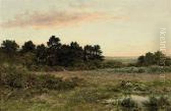 A Surrey Common (near Gomshall) - view 1