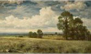 A Summer's Day