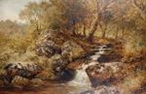 Woodland Scene, North Wales