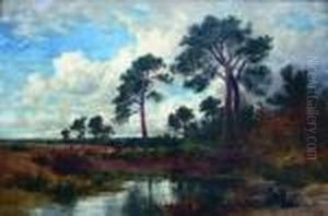 Surrey Pines
