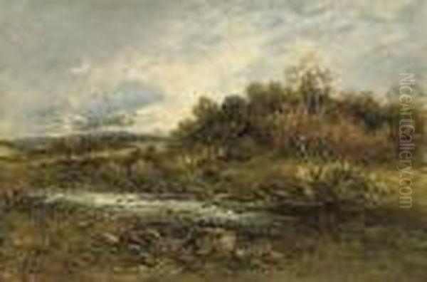 Along The Rapids - view 1