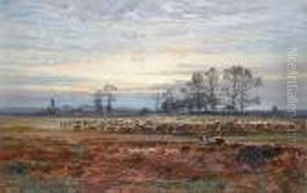 Shepherd And Flock In A Field - view 1