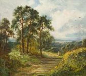 Figure On An Upland Path, Possibly Wales