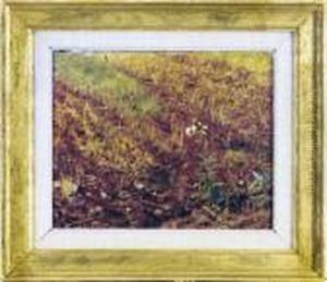Study Of Grasses