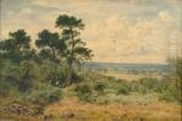 View From Burrows Cross - view 1