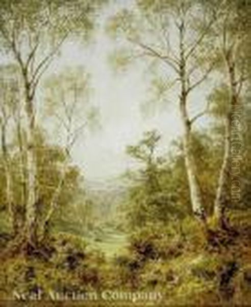 A Woodland Vale, Perhaps In The West Country Or In Wales - view 1