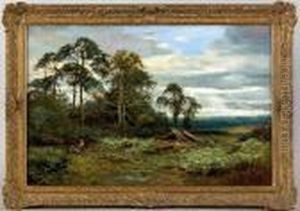 Landscape Landscape
