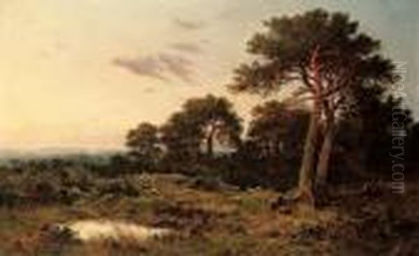 Evening On The Surrey Wolds - view 1