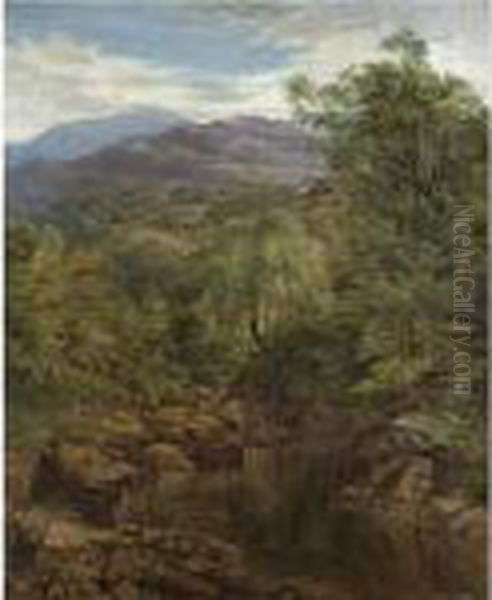 A Quiet Pool Near Glen Falloch - view 1