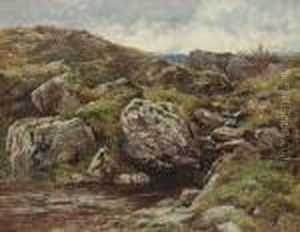 Erme Head, Dartmoor