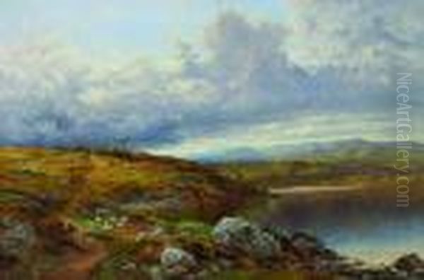 Landscape With Sheep Grazing - view 1