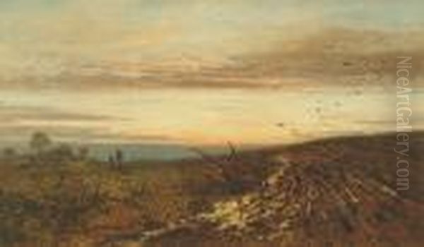 Ploughed Fields At Dusk - view 1