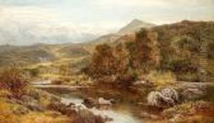 An Island On The Llugwy