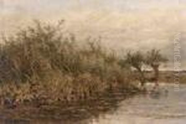 In The Fens - view 1