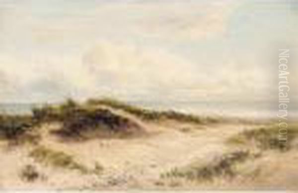 Sand Dunes - view 1